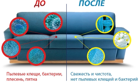 Преимущества профессиональной химчистки перед домашней мойкой